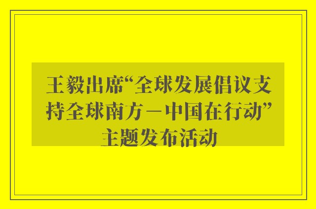 王毅出席“全球发展倡议支持全球南方－中国在行动”主题发布活动