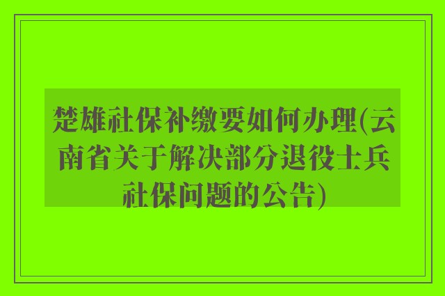 楚雄社保补缴要如何办理(云南省关于解决部分退役士兵社保问题的公告)