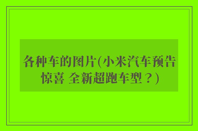 各种车的图片(小米汽车预告惊喜 全新超跑车型？)