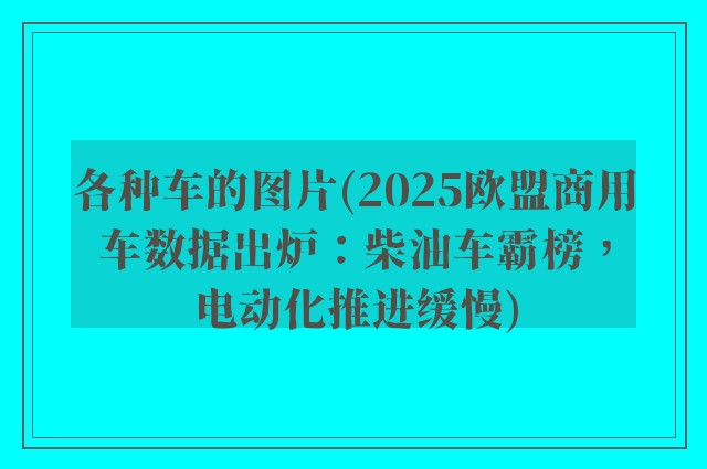 各种车的图片(2025欧盟商用车数据出炉：柴油车霸榜，电动化推进缓慢)