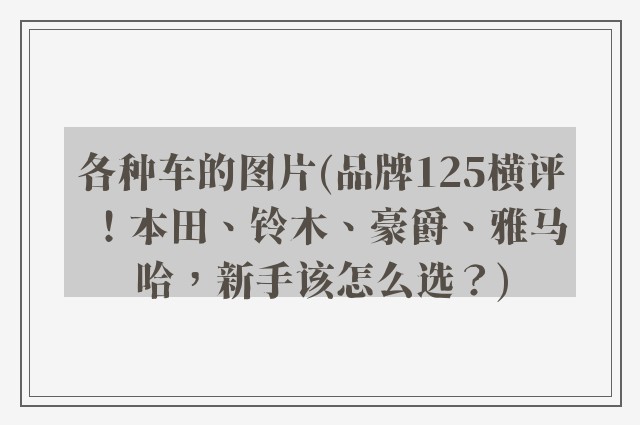 各种车的图片(品牌125横评！本田、铃木、豪爵、雅马哈，新手该怎么选？)
