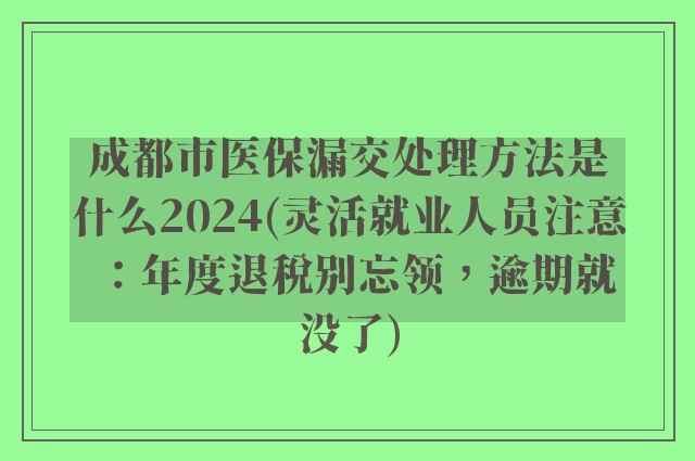 成都市医保漏交处理方法是什么2024(灵活就业人员注意：年度退税别忘领，逾期就没了)