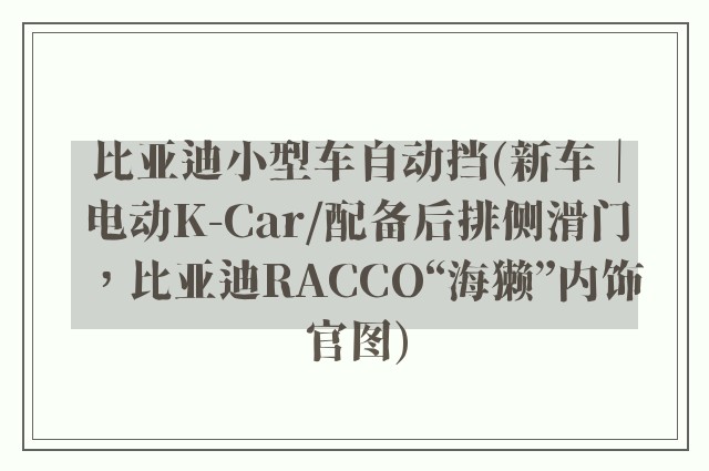 比亚迪小型车自动挡(新车｜电动K-Car/配备后排侧滑门，比亚迪RACCO“海獭”内饰官图)