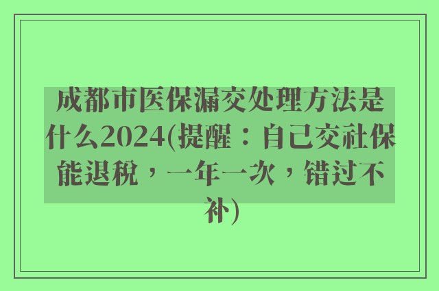 成都市医保漏交处理方法是什么2024(提醒：自己交社保能退税，一年一次，错过不补)