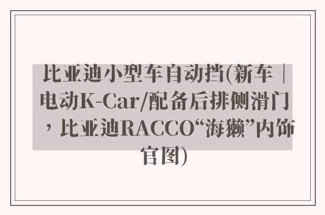比亚迪小型车自动挡(新车｜电动K-Car/配备后排侧滑门，比亚迪RACCO“海獭”内饰官图)