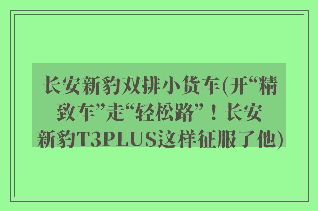长安新豹双排小货车(开“精致车”走“轻松路”！长安新豹T3PLUS这样征服了他)