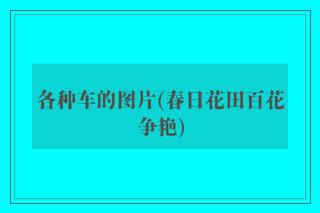 各种车的图片(春日花田百花争艳)