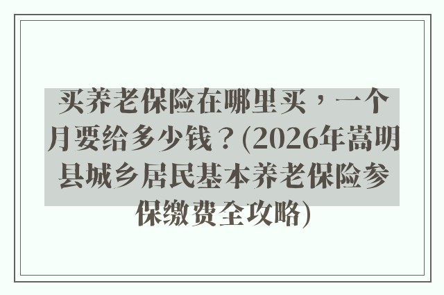 买养老保险在哪里买，一个月要给多少钱？(2026年嵩明县城乡居民基本养老保险参保缴费全攻略)