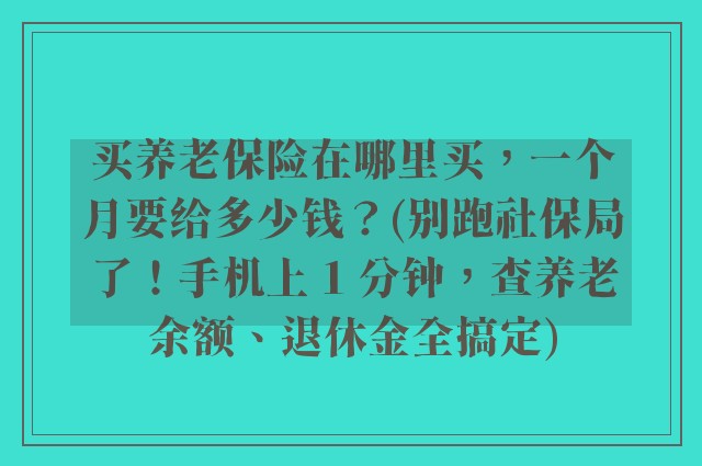 买养老保险在哪里买，一个月要给多少钱？(别跑社保局了！手机上 1 分钟，查养老余额、退休金全搞定)