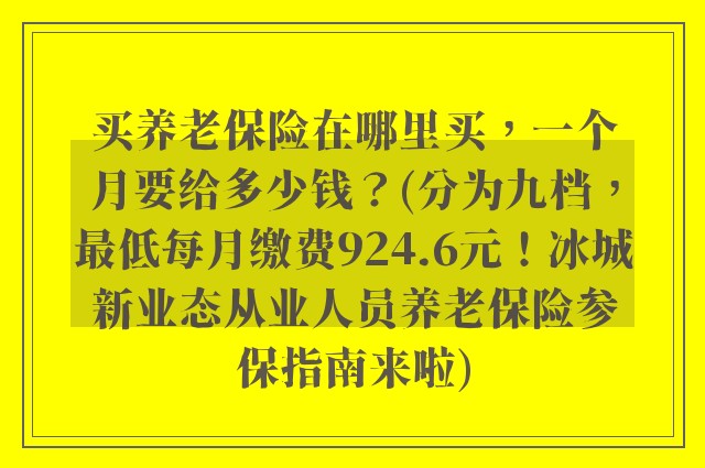 买养老保险在哪里买，一个月要给多少钱？(分为九档，最低每月缴费924.6元！冰城新业态从业人员养老保险参保指南来啦)