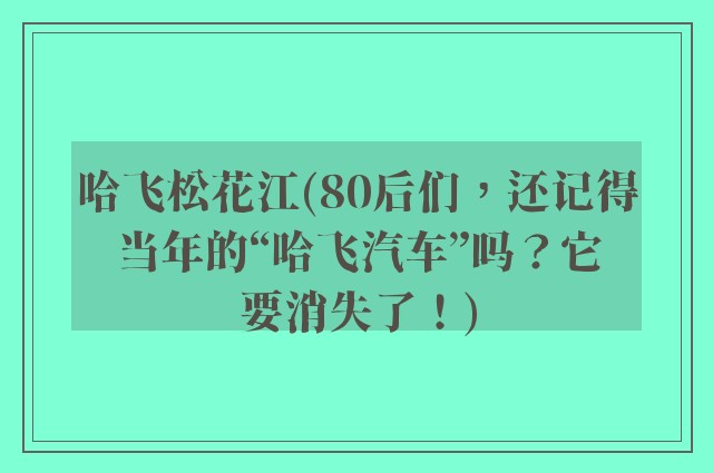 哈飞松花江(80后们，还记得当年的“哈飞汽车”吗？它要消失了！)
