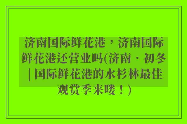 济南国际鲜花港，济南国际鲜花港还营业吗(济南•初冬 | 国际鲜花港的水杉林最佳观赏季来喽！)