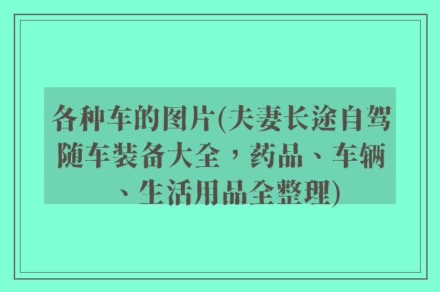 各种车的图片(夫妻长途自驾随车装备大全，药品、车辆、生活用品全整理)