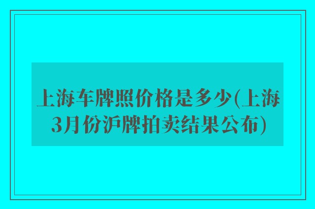 上海车牌照价格是多少(上海3月份沪牌拍卖结果公布)