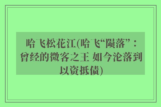 哈飞松花江(哈飞“陨落”：曾经的微客之王 如今沦落到以资抵债)