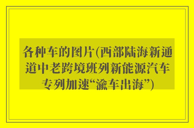 各种车的图片(西部陆海新通道中老跨境班列新能源汽车专列加速“渝车出海”)