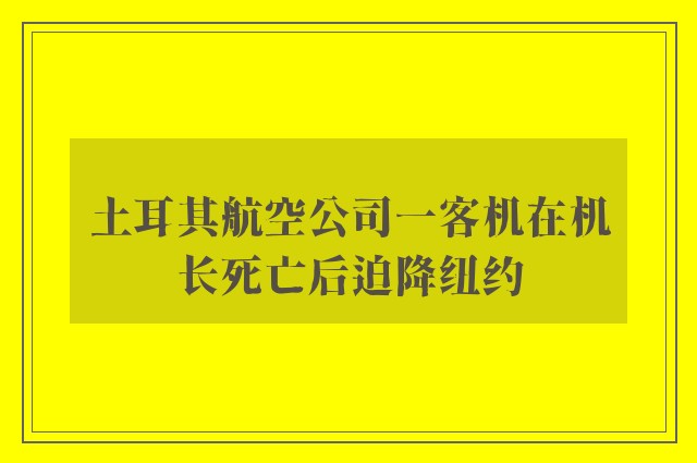 土耳其航空公司一客机在机长死亡后迫降纽约